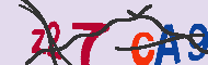 キャプチャ(CAPTCHA)認証コード