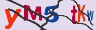 キャプチャ(CAPTCHA)認証コード