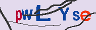キャプチャ(CAPTCHA)認証コード