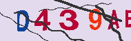 キャプチャ(CAPTCHA)認証コード