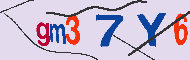 キャプチャ(CAPTCHA)認証コード