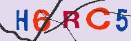 キャプチャ(CAPTCHA)認証コード