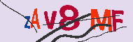 キャプチャ(CAPTCHA)認証コード