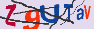 キャプチャ(CAPTCHA)認証コード