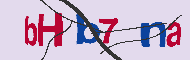キャプチャ(CAPTCHA)認証コード