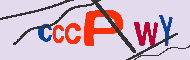 キャプチャ(CAPTCHA)認証コード