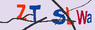 キャプチャ(CAPTCHA)認証コード