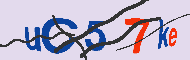 キャプチャ(CAPTCHA)認証コード