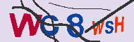 キャプチャ(CAPTCHA)認証コード