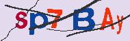 キャプチャ(CAPTCHA)認証コード