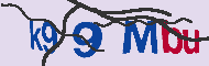 キャプチャ(CAPTCHA)認証コード