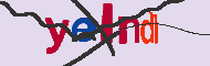 キャプチャ(CAPTCHA)認証コード