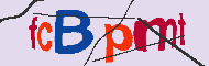 キャプチャ(CAPTCHA)認証コード