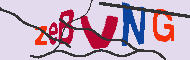 キャプチャ(CAPTCHA)認証コード