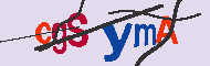キャプチャ(CAPTCHA)認証コード