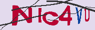 キャプチャ(CAPTCHA)認証コード