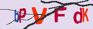 キャプチャ(CAPTCHA)認証コード