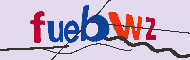 キャプチャ(CAPTCHA)認証コード