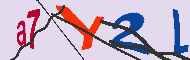 キャプチャ(CAPTCHA)認証コード