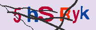 キャプチャ(CAPTCHA)認証コード