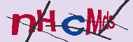 キャプチャ(CAPTCHA)認証コード