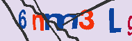 キャプチャ(CAPTCHA)認証コード
