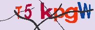 キャプチャ(CAPTCHA)認証コード