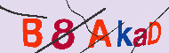 キャプチャ(CAPTCHA)認証コード