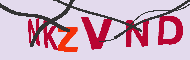 キャプチャ(CAPTCHA)認証コード