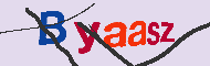 キャプチャ(CAPTCHA)認証コード