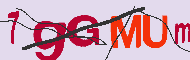 キャプチャ(CAPTCHA)認証コード