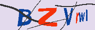 キャプチャ(CAPTCHA)認証コード