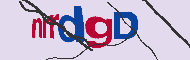 キャプチャ(CAPTCHA)認証コード