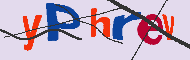 キャプチャ(CAPTCHA)認証コード