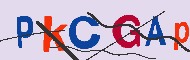 キャプチャ(CAPTCHA)認証コード