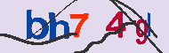 キャプチャ(CAPTCHA)認証コード