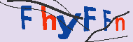 キャプチャ(CAPTCHA)認証コード