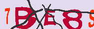 キャプチャ(CAPTCHA)認証コード