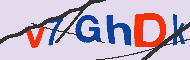 キャプチャ(CAPTCHA)認証コード