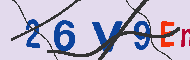 キャプチャ(CAPTCHA)認証コード