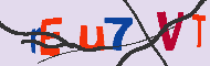 キャプチャ(CAPTCHA)認証コード