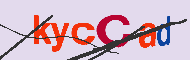キャプチャ(CAPTCHA)認証コード