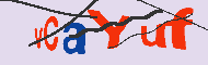 キャプチャ(CAPTCHA)認証コード