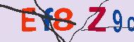 キャプチャ(CAPTCHA)認証コード