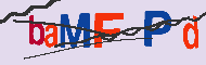 キャプチャ(CAPTCHA)認証コード