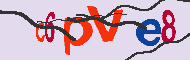 キャプチャ(CAPTCHA)認証コード