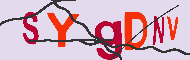 キャプチャ(CAPTCHA)認証コード