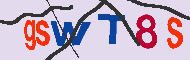 キャプチャ(CAPTCHA)認証コード
