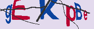 キャプチャ(CAPTCHA)認証コード