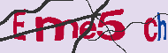 キャプチャ(CAPTCHA)認証コード